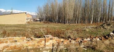 дом в красная речка: 65 соток, Бизнес үчүн, Кызыл китеп — 10