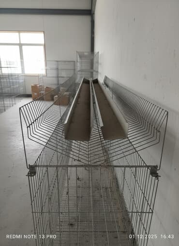 животные корова: Клетки для птицы (несушки/бройлеры) с линейными кормушками и — 1