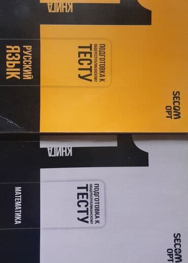 Информатика: Две книги — 2