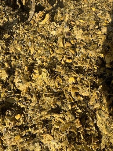 возьму собаку даром: Продаю силос высшего качества Мелкого дробления с зернами Адрес село — 3