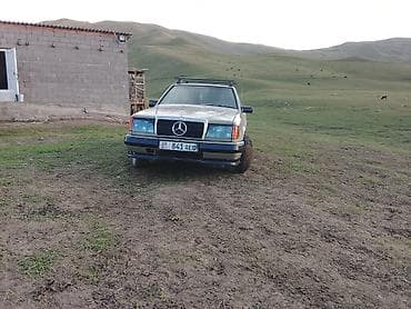 аккумуляторлор авто: Mercedes-Benz W124: 1988 г., 2.3 л, Кол менен иштөөчү, Бензин, Седан — 4
