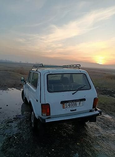 priora 2: ВАЗ (ЛАДА) 4x4 Нива: 2007 г., 1.7 л, Механика, Бензин, Внедорожник — 1