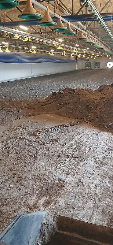 дарю вещи: КУРИНЫЙ СУХОЙ НАВОЗ.
ПО ДОГОВОРУ — 1