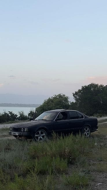 шторка е34: BMW 5 series: 1992 г., Седан — 10