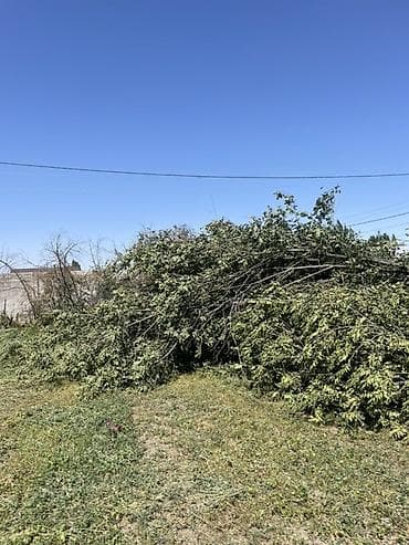 тонировка стекол дома: Дрова Фруктовая древесина — 8