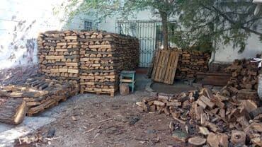 активированный уголь волнистому попугаю: Дрова Карагач, Бесплатная доставка — 3