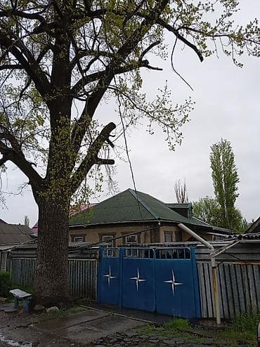 Продаётся одноэтажный частный дом с приусадебным участком 8 соток за — 4