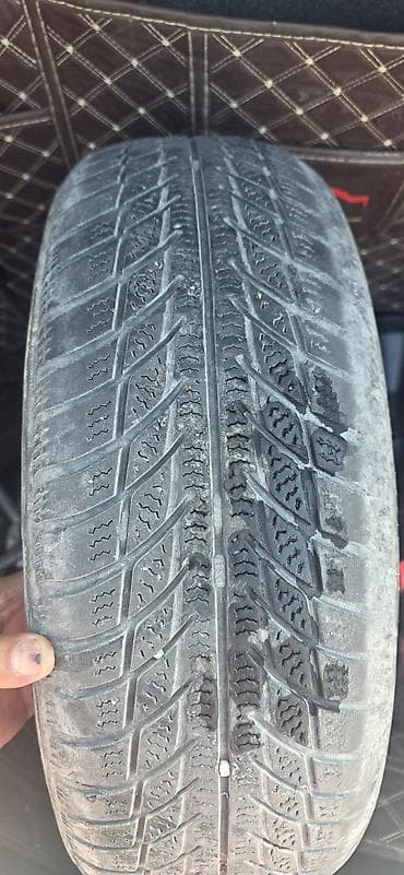 h: Шины 175 / 65 / R 14, Всесезонная, Б/у, 1 шт, Легковые, GoodYear — 1