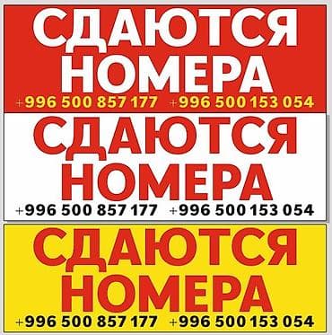 Проживание в благоустроенном доме с несколькими спальнями формата