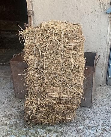 ящик деревяный: Продаются тюки есть 12-13 шт — 1