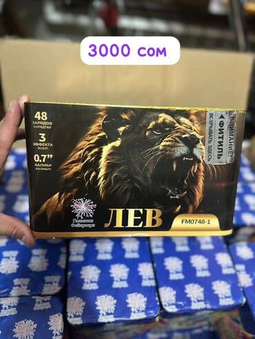 детские шкафы в бишкеке: Пиротехника “Галактик Фейерверк” — лицензированная продукция для ярких — 10