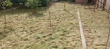 работы охраны: Уборка территории — 3