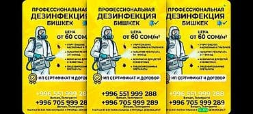 травля тараканов: Дезинфекция, дезинсекция, | Клопы, Блохи, Тараканы, | Транспорт, Офисы, Квартиры — 1