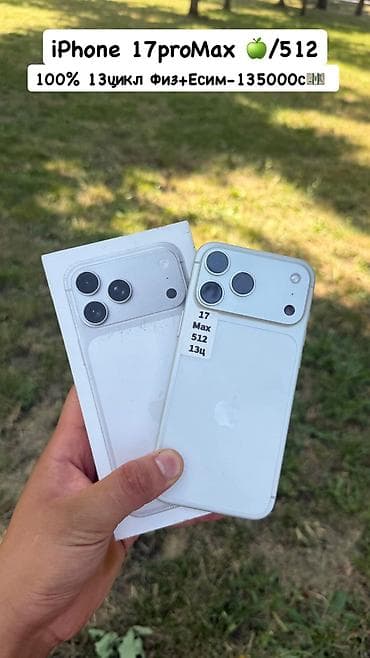IPhone 17 Pro Max, Новый, 512 ГБ, Matte Silver, 100 %