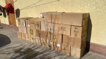 ящик для кур: Куриные яйца столовые, фасованные - Яйца светло-коричневой и кремовой — 7