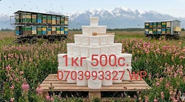 Продукты питания: Натуральный мёд в пластиковых вёдрах. Пасека на полевых медоносах; на — 1