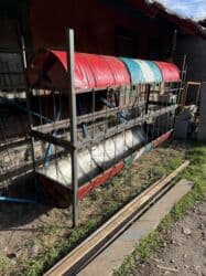 продажа щенков немецкой овчарки с документами в бишкеке: С бочки 2.6метр 5500 С листа 0.55см 3метр 5500 2.5метр 5000 2метр 4200 — 6