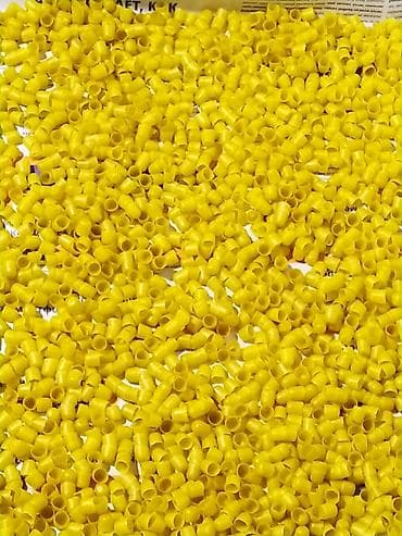 тай бука: Маточники,пчеломатки, аары пчелы,, матки от элитной немки карника — 2