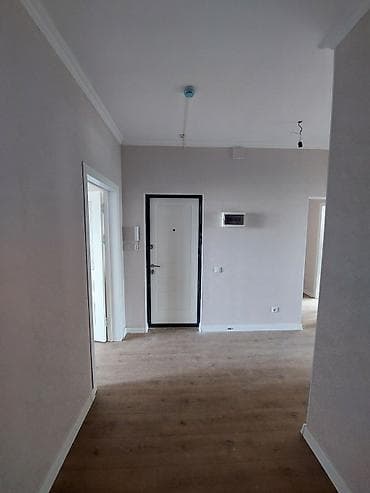 мичуринский: 2 комнаты, 70 м², Индивидуалка, 5 этаж, Евроремонт — 10