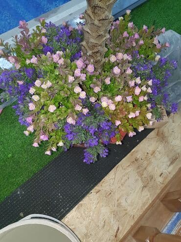 Дизайн, долборлоо: Дизайн | Кафе, ресторандар — 8