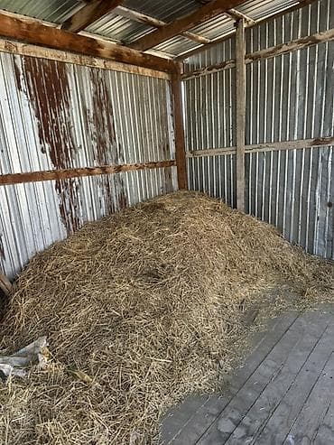 пахта алабыз: Солома россыпью - Натуральная солома из злаковых культур, хранится — 2