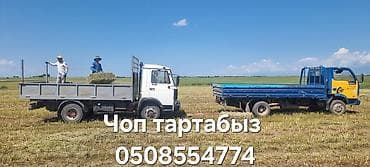 грузовой каракол: Легкий грузовик, Foton, Стандарт, 3 т, Б/у — 3