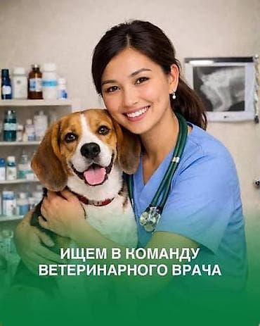 Вакансия: ветеринарный врач Ищем в команду ветеринарного врача для