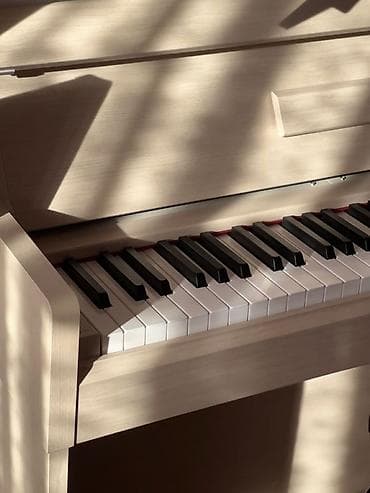 ритм: 🎹 Приглашаю на занятия по фортепиано! Здравствуйте! я преподаватель — 1