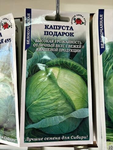 морковь семена: Семена капусты «Колобок» «Амагер 611» «Московская Поздняя 15» «Слава — 5