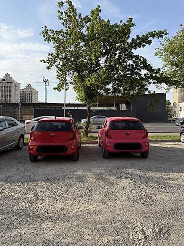 аренда авто киа морнинг: Сдаю Kia Morning под такси, На неделю, | Залог, Предоплата, Водительские права — 2