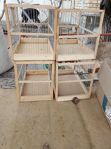 лекарство для животных: Деревянные переносные клетки для птиц - Материал: каркас из — 3