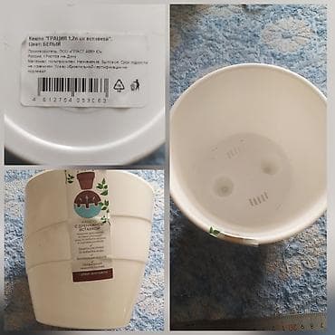 комнатные цветы бишкек гулназ: Продаю новые горшки — 4