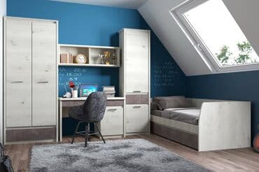 шыфонеры: Шкаф для одежды 2Д Бьерк, Ольха Полярная/Оникс, Анрэкс (Беларусь) — 1