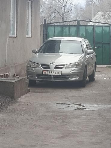 civic 1991: Nissan Almera: 2002 г., 1.5 л, Ручные, Бензин, Хэтчбэк — 9