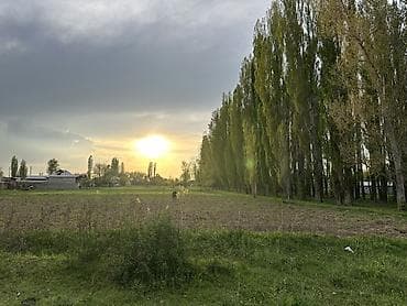 кочкор ата недвижимость: 10 соток, Айыл чарба үчүн, Кызыл китеп, Сатып алуу-сатуу келишими — 2