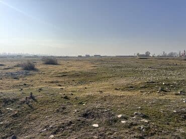 продаю участок на иссык куле село тамчы: 1500 соток, Для бизнеса, Красная книга — 12