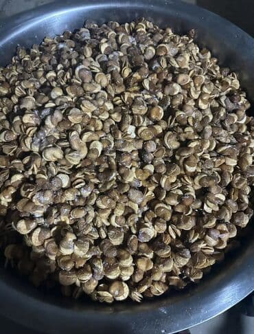 удобрение органика: Продаю ГОЛЛАНДСКИЕ бобы сухие для жарки Без червей, качество — 4