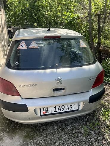 Peugeot 307: 2003 г., Хэтчбэк