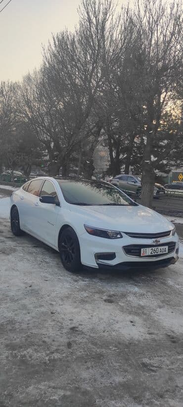 shevrole: Chevrolet Malibu: 2016 г., 1.5 л, Автомат, Бензиновая — 2