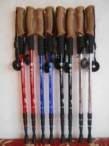 прокат сноубордов бишкек: Треккинговые палки, скандинавские палки в спортивном магазине — 1