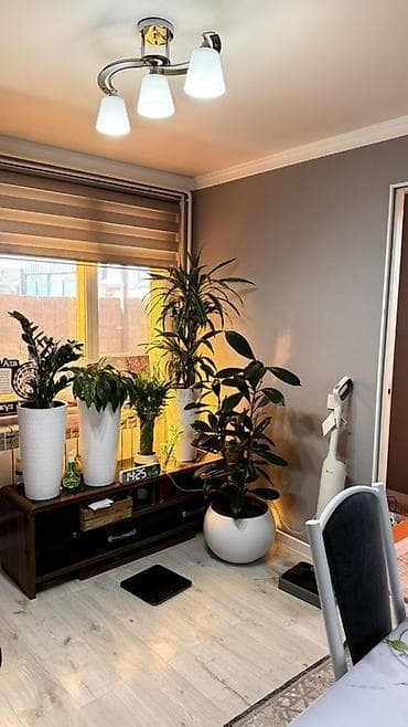 новопокровка сдается: 🚨 **СРОЧНО ПРОДАЕТСЯ ДОМ!** 🏡 📍 Новопокровка (всего 50 м от трассы) ✨ — 2