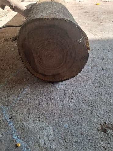 ПРОДАЁТСЯ БРЕВНО ОРЕХА. ЦЕНА ДОГОВОРНАЯ Продаются бревна грецкого at lalafo.kg ПРОДАЁТСЯ БРЕВНО ОРЕХА. ЦЕНА ДОГОВОРНАЯ Продаются бревна грецкого