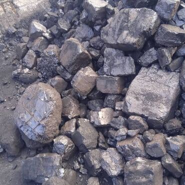 купить сирень в бишкеке: Coal briquettes — 9
