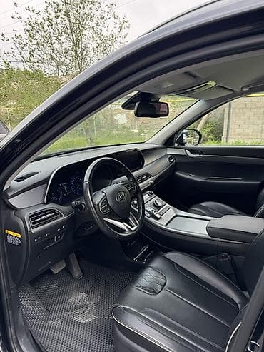 молдинг w210: Hyundai Palisade: 2019 г., 2.2 л, Автомат, Дизель, Кроссовер — 9