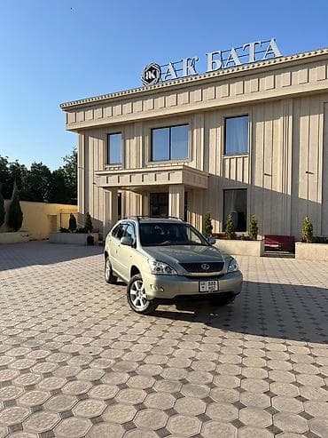 Lexus RX: 2005 г., 3 л, Автомат, Бензин, Кроссовер