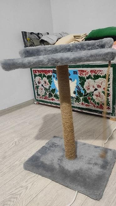 эркек ит: Үй жаныбарлары үчүн товарлар — 3