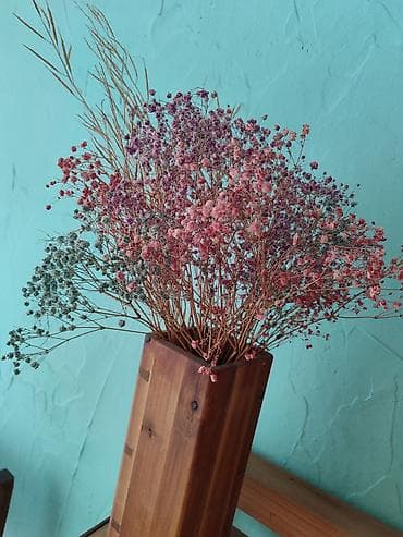 Пуговичник