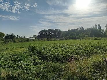 ххх квартира: Срочно Срочно Срочно Продается дом29 соток есть также времянка — 7