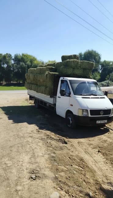 дом на калесох: Легкий грузовик, Volkswagen, Стандарт, 3 т, Б/у — 2