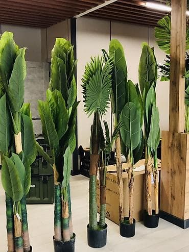 Декор и интерьер: 🌿 Искусственные декоративные растения премиум качества • Высота 160 — 3